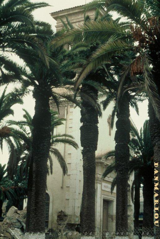 ARZEW ETAT EN 1981 (1).jpg